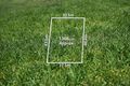 Property photo of 8 Sea Parade Mentone VIC 3194