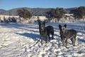 Property photo of 5266 Monaro Highway Michelago NSW 2620