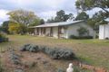 Property photo of 773 Ridge Road Cooks Gap NSW 2850