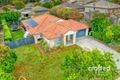 Property photo of 19 Paul Drive Regents Park QLD 4118