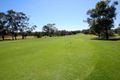 Property photo of 97 Links Avenue Concord NSW 2137