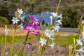 Property photo of 5821 Arthur Highway Taranna TAS 7180