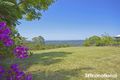 Property photo of 34 Java Court Tamborine Mountain QLD 4272