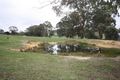 Property photo of 688 Chute-Waterloo Road Waterloo VIC 3373