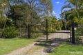 Property photo of 23 Kestrel Court Morayfield QLD 4506