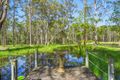 Property photo of 74 Rodeo Drive Kundabung NSW 2441