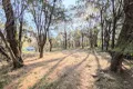 Property photo of 6 Beacon Drive Russell Island QLD 4184