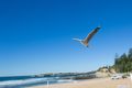 Property photo of 7/72-74 Corrimal Street Wollongong NSW 2500