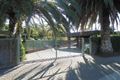 Property photo of 16 Walnut Grove Dernancourt SA 5075