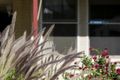 Property photo of 2 Spring Street Seacombe Gardens SA 5047