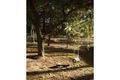 Property photo of 31 Valley View Crescent Norton Summit SA 5136
