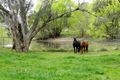 Property photo of 26 Woodleigh Drive Murrumbateman NSW 2582