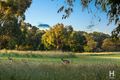 Property photo of 78 Maintop Ridge Botanic Ridge VIC 3977