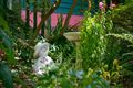 Property photo of 109 Craigend Street Leura NSW 2780