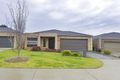 Property photo of 51 Malua Circuit Sandhurst VIC 3977