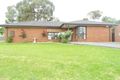 Property photo of 146 Ripplebrook Drive Broadmeadows VIC 3047