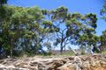 Property photo of 6 Turriell Point Road Port Hacking NSW 2229