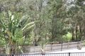 Property photo of 23 Windsor Place Molendinar QLD 4214