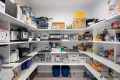 Property photo of 56 Congo Drive Tarneit VIC 3029