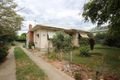 Property photo of 290 Olive Street South Albury NSW 2640