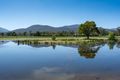 Property photo of 120 Lowes Road Yarra Junction VIC 3797