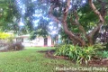 Property photo of 109-111 Treasure Island Avenue Karragarra Island QLD 4184