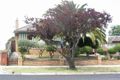 Property photo of 22 Royle Street Frankston VIC 3199