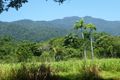 Property photo of 187 Telecom Road Bellenden Ker QLD 4871