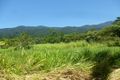 Property photo of 187 Telecom Road Bellenden Ker QLD 4871