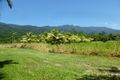 Property photo of 187 Telecom Road Bellenden Ker QLD 4871