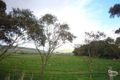 Property photo of 5 Silver Cloud Grove Sellicks Beach SA 5174