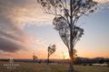 Property photo of 5 Jefferis Avenue Cobbitty NSW 2570