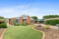 Property photo of 15 Wilton Court Flinders View QLD 4305