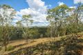Property photo of 22 Graham Road Torrington QLD 4350