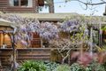Property photo of 5 Edith Street Heathmont VIC 3135