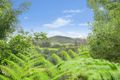 Property photo of 100 Byangum Road Murwillumbah NSW 2484