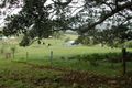 Property photo of 98 Long Brush Road Jerrara NSW 2533
