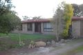 Property photo of 3 Jewell Street Mundulla SA 5270