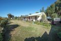 Property photo of 431 Lakeside Drive Lake Boga VIC 3584