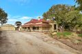 Property photo of 43 Gray Street Freeling SA 5372