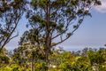 Property photo of 99 Wongawallan Road Tamborine Mountain QLD 4272