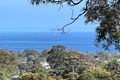 Property photo of 81 Cinerama Crescent McCrae VIC 3938