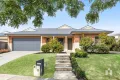 Property photo of 3 Shorthorn Crescent Doreen VIC 3754