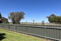 Property photo of 57 Macbean Street Culcairn NSW 2660