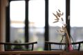 Property photo of 10B Garbutt Place Oakdale NSW 2570