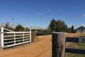 Property photo of 301 Elouera Road Cowra NSW 2794