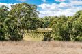 Property photo of 6 River Road Hahndorf SA 5245