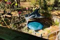 Property photo of 23 Mardango Crescent Batchelor NT 0845