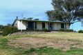 Property photo of 213 Jelbart Road Jindera NSW 2642