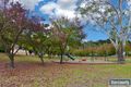 Property photo of 16 Peppermint Grove Aberfoyle Park SA 5159